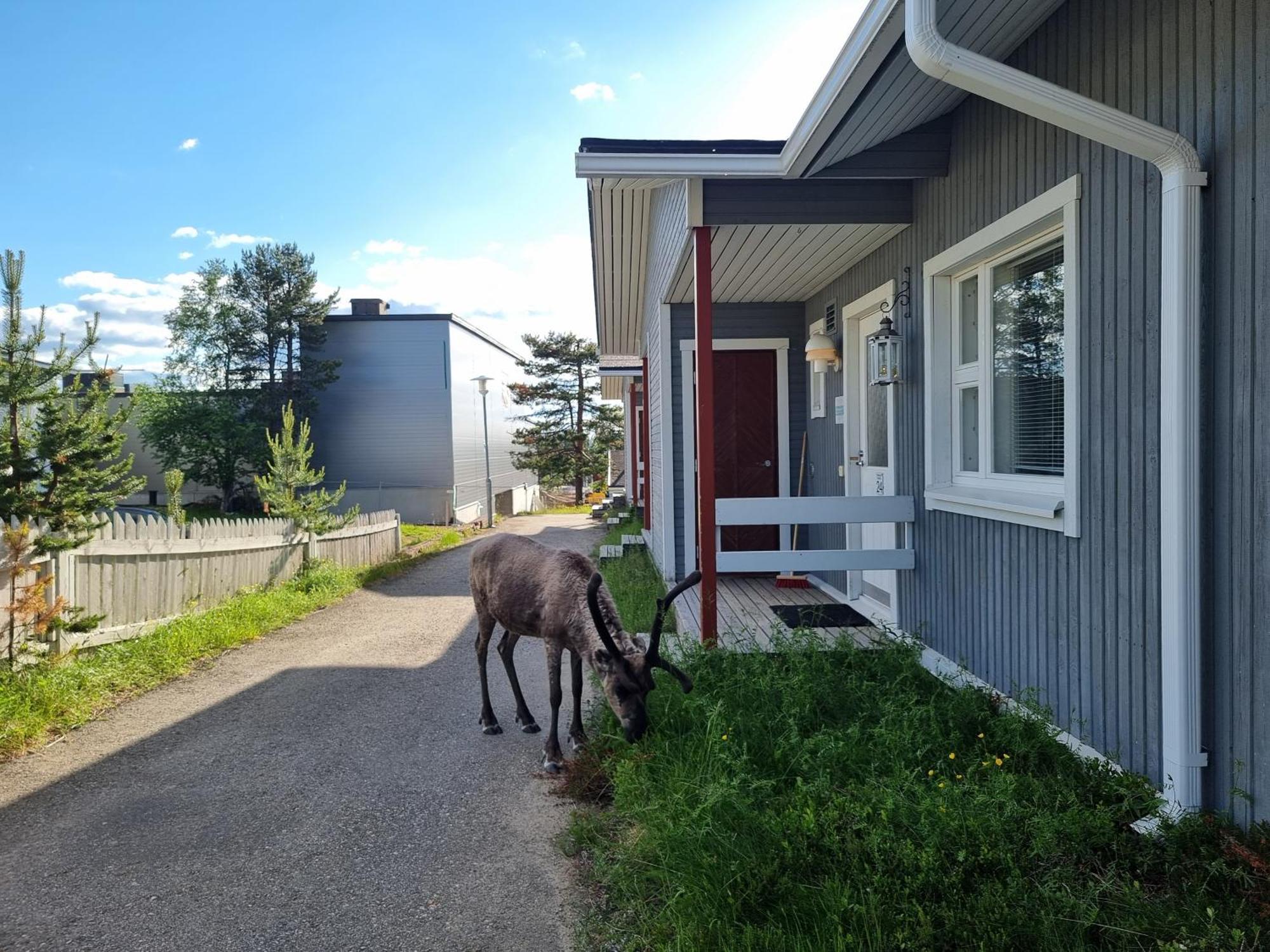 Kuukkeli Apartments Suite Saariselkä Exterior foto